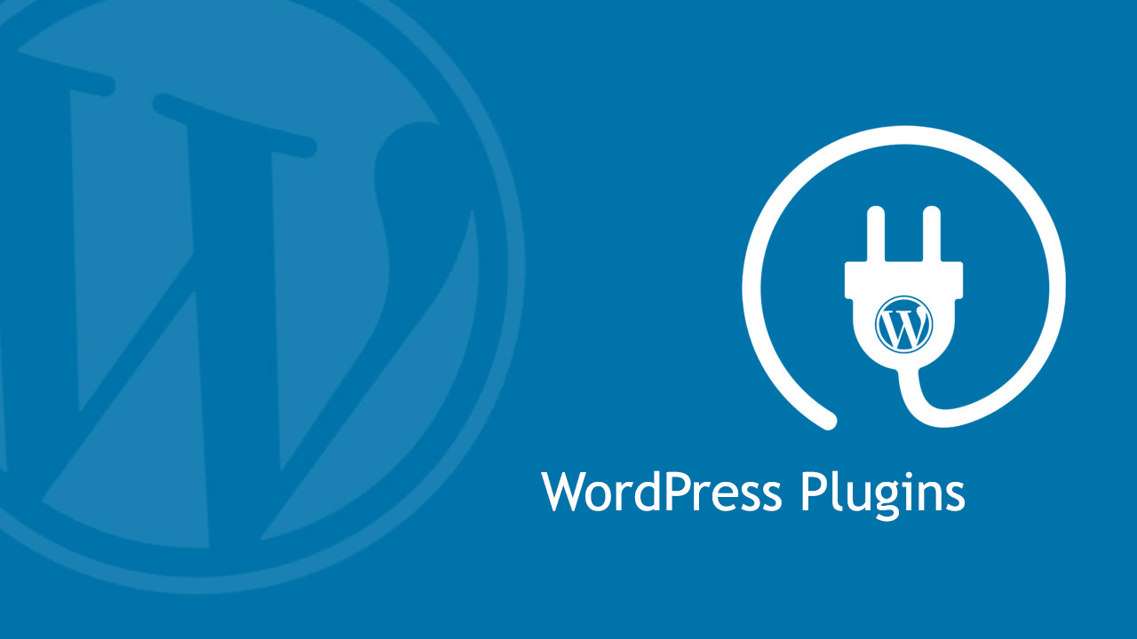 What is wordpress plugin